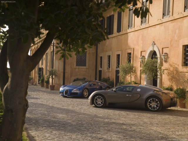 Bugatti Veyron Grand Sport фото