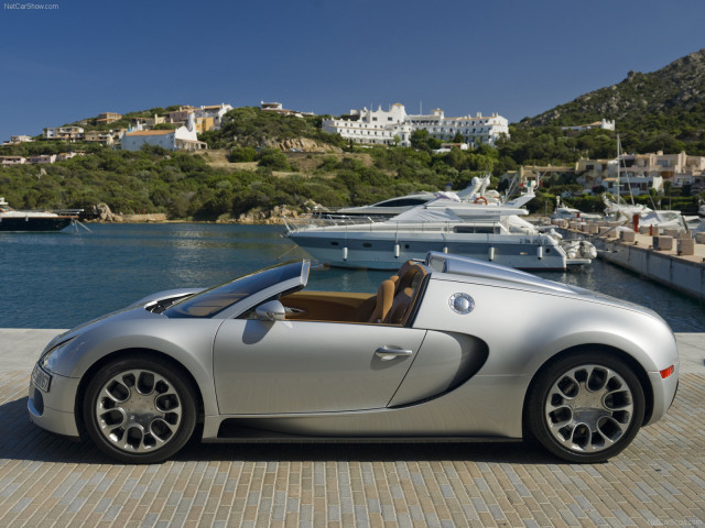 Bugatti Veyron Grand Sport фото