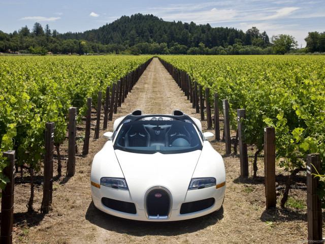 Bugatti Veyron Grand Sport фото