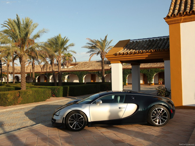 Bugatti Veyron Super Sport фото