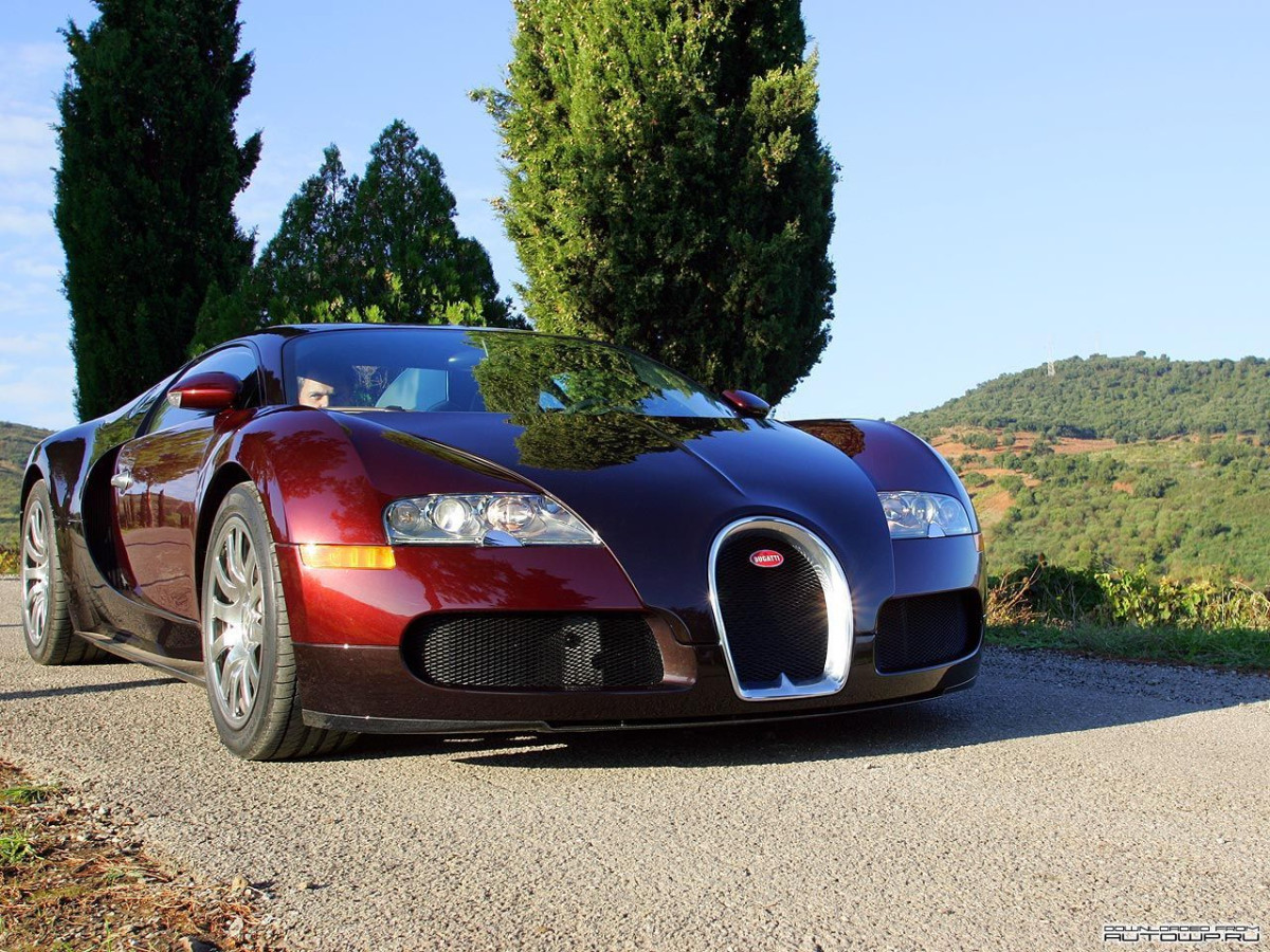 Bugatti Veyron фото 63827