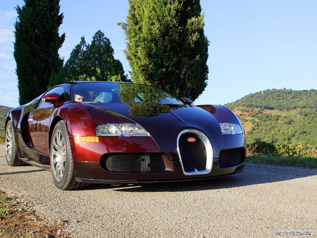 Bugatti Veyron фото