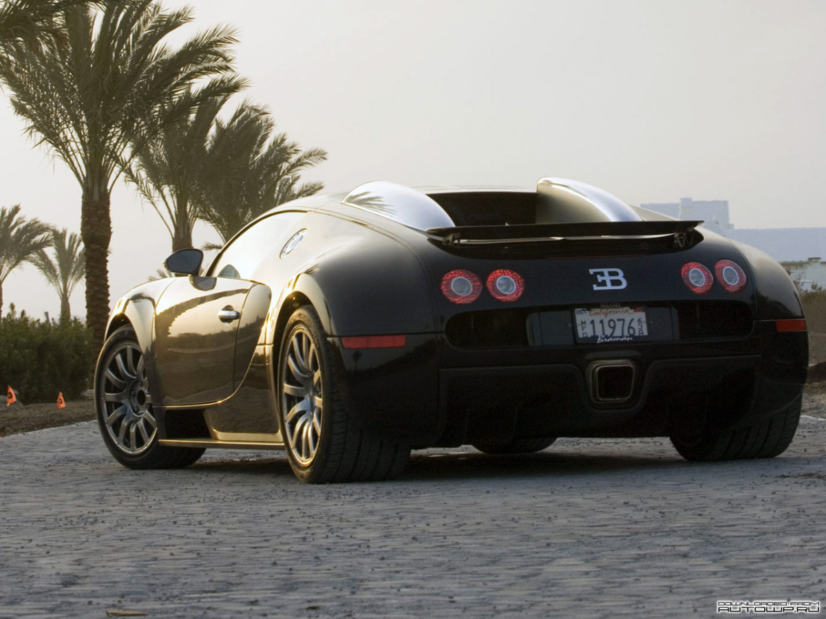 Bugatti Veyron фото 63829