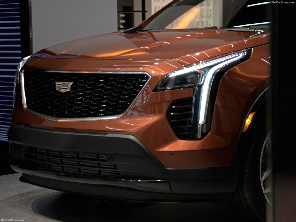 Cadillac XT4 фото 194140