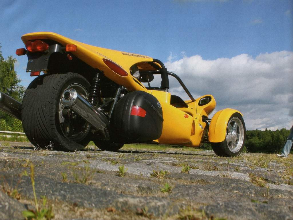 Campagna T-Rex фото 28572