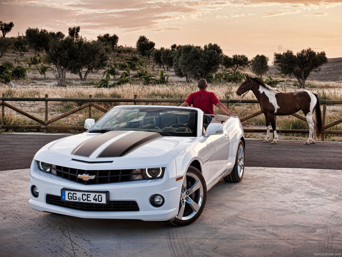 Chevrolet Camaro Convertible фото 88629