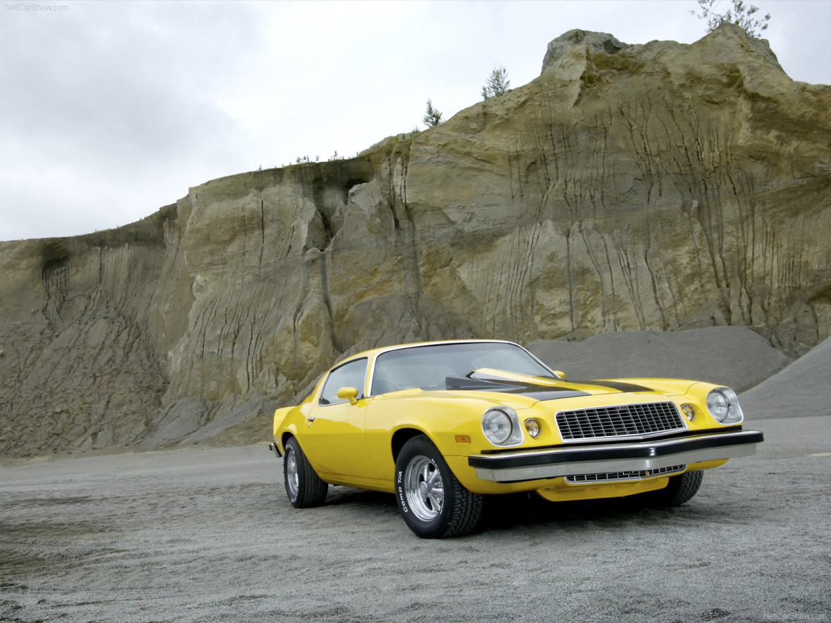 Chevrolet Camaro фото 67027