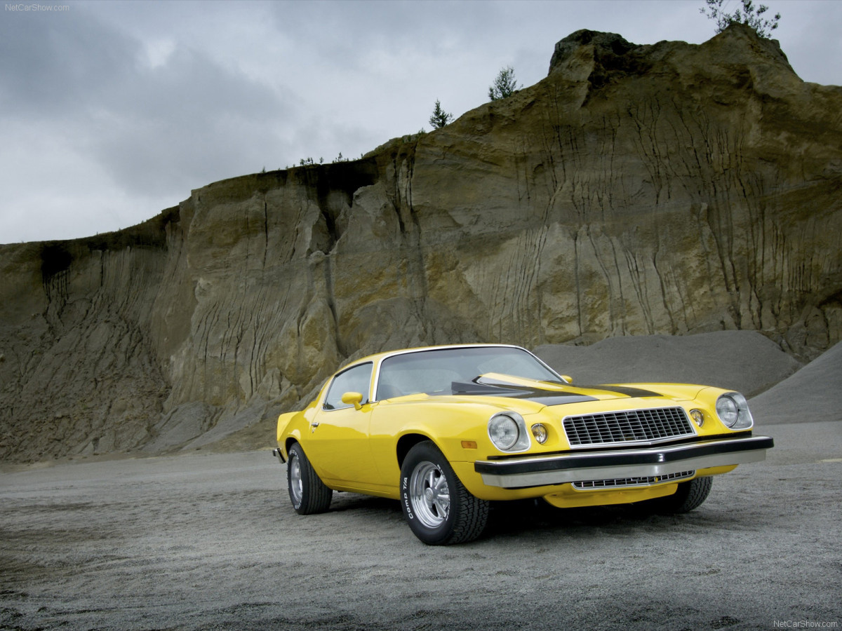 Chevrolet Camaro фото 67028