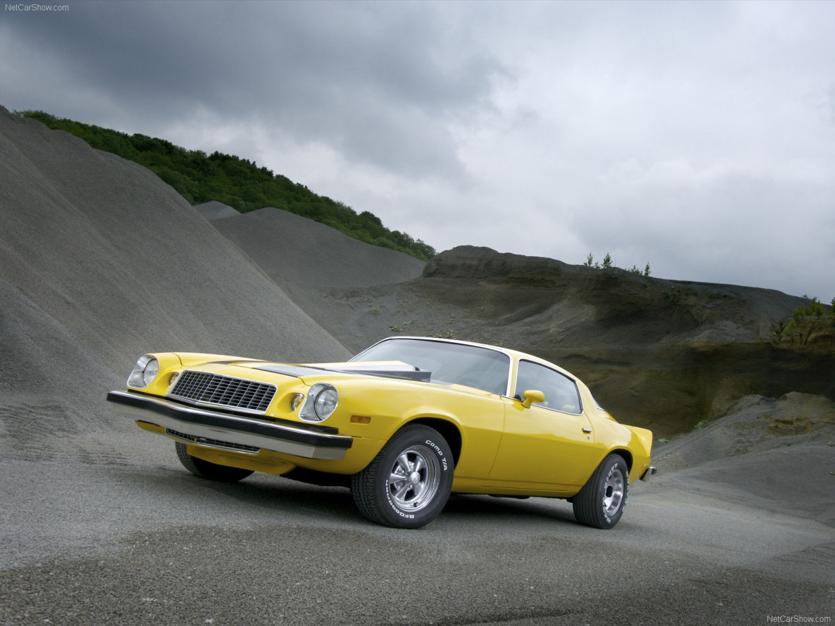 Chevrolet Camaro фото 67029