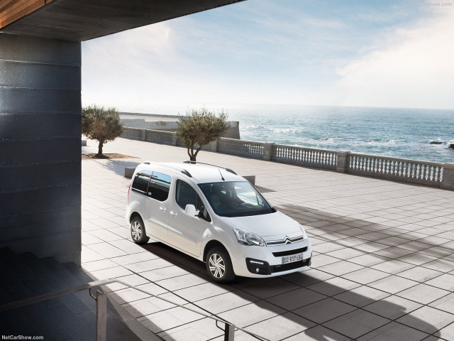 Citroen Berlingo Multispace фото