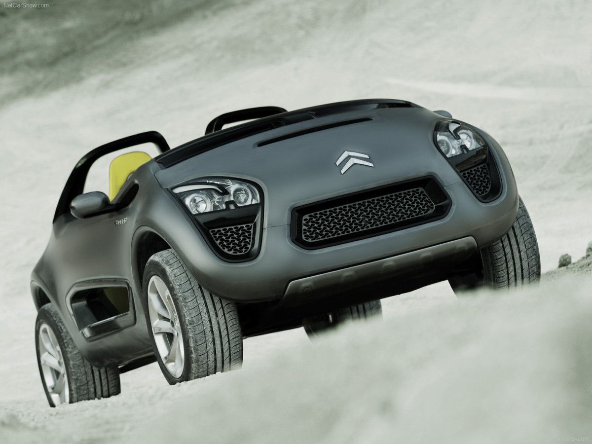 Citroen C-Buggy фото 86380