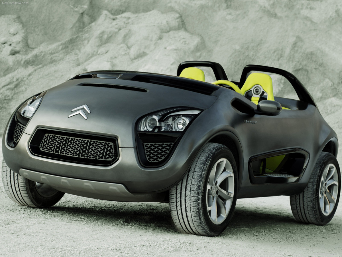 Citroen C-Buggy фото 86387