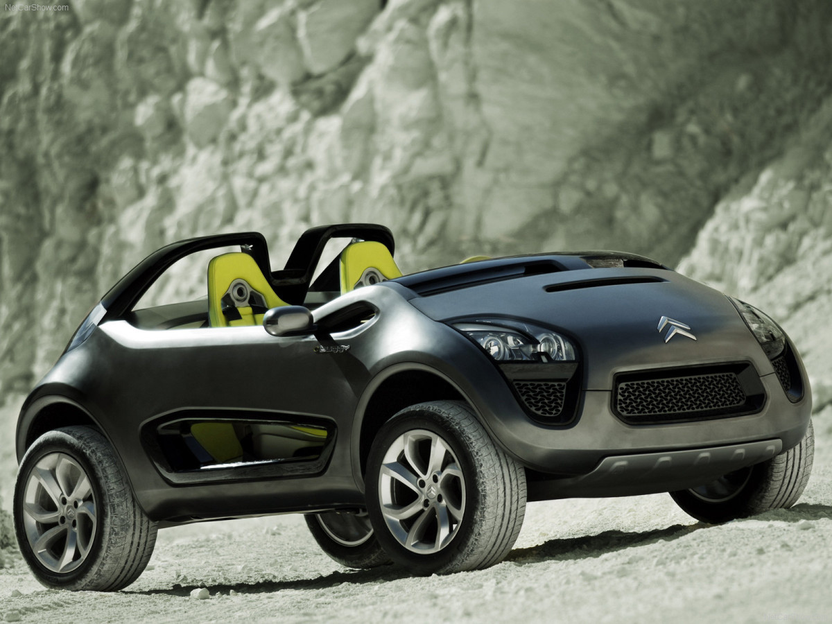 Citroen C-Buggy фото 86388