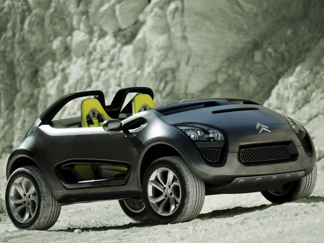 Citroen C-Buggy фото