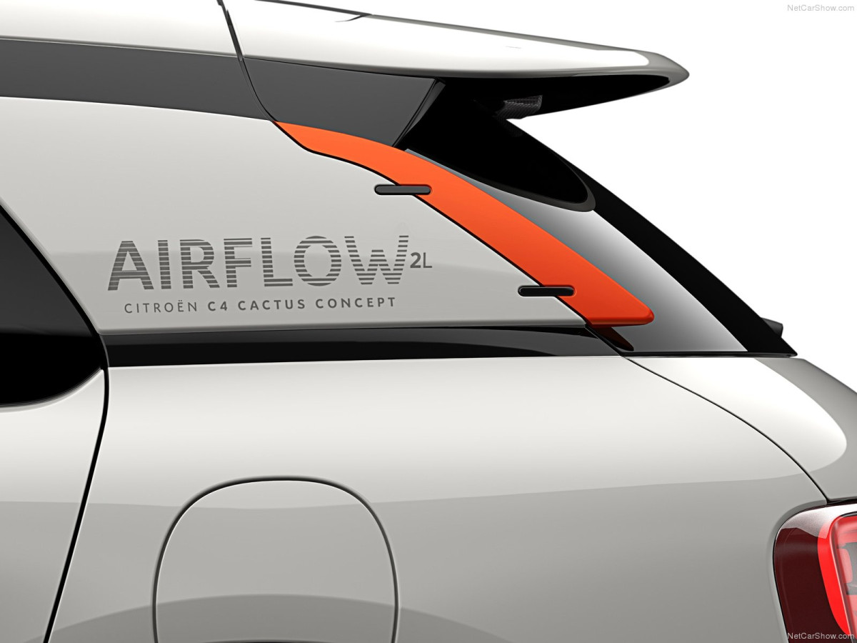 Citroen C4 Cactus Airflow 2L фото 134568