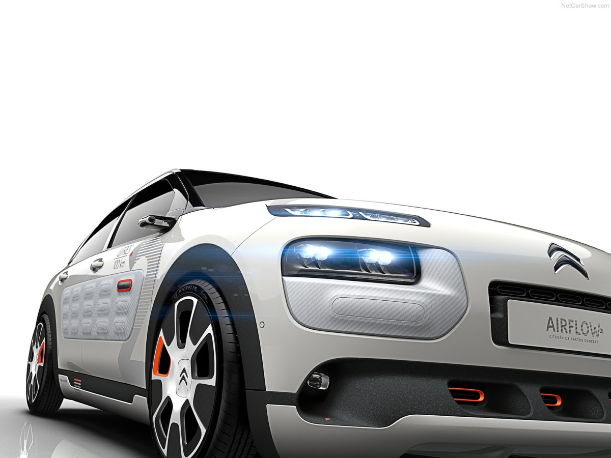 Citroen C4 Cactus Airflow 2L фото 134571