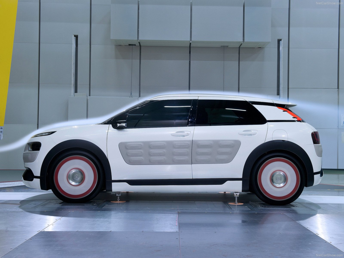 Citroen C4 Cactus Airflow 2L фото 134572