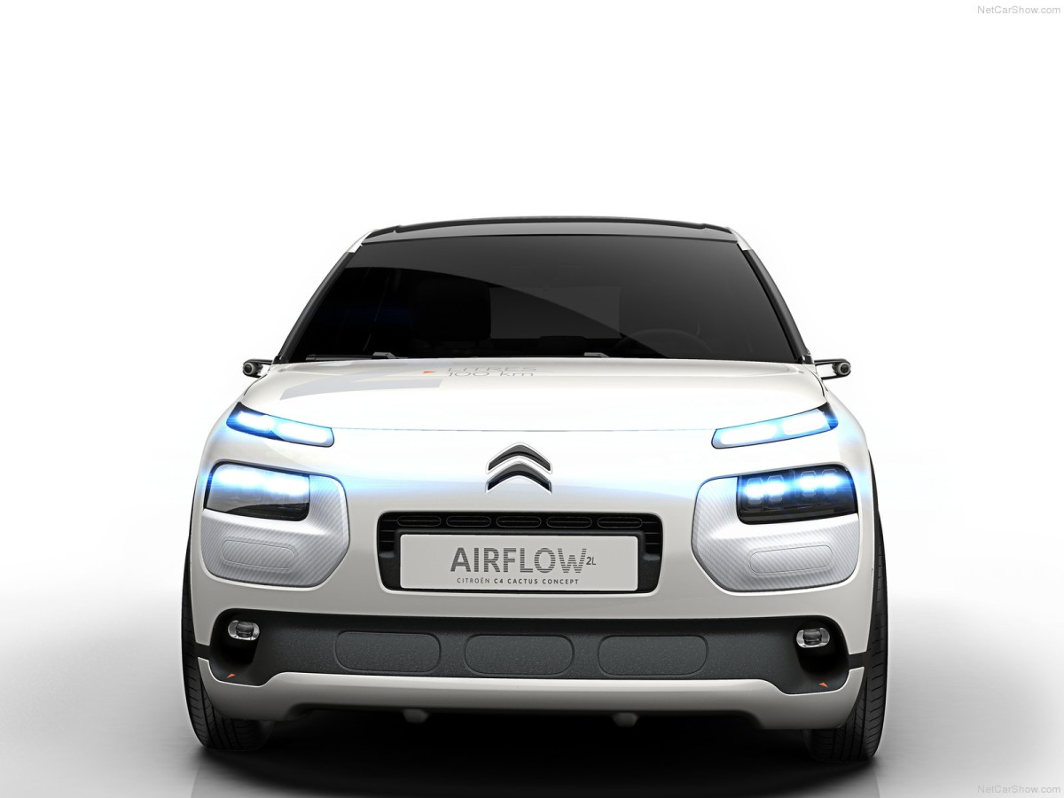 Citroen C4 Cactus Airflow 2L фото 134576