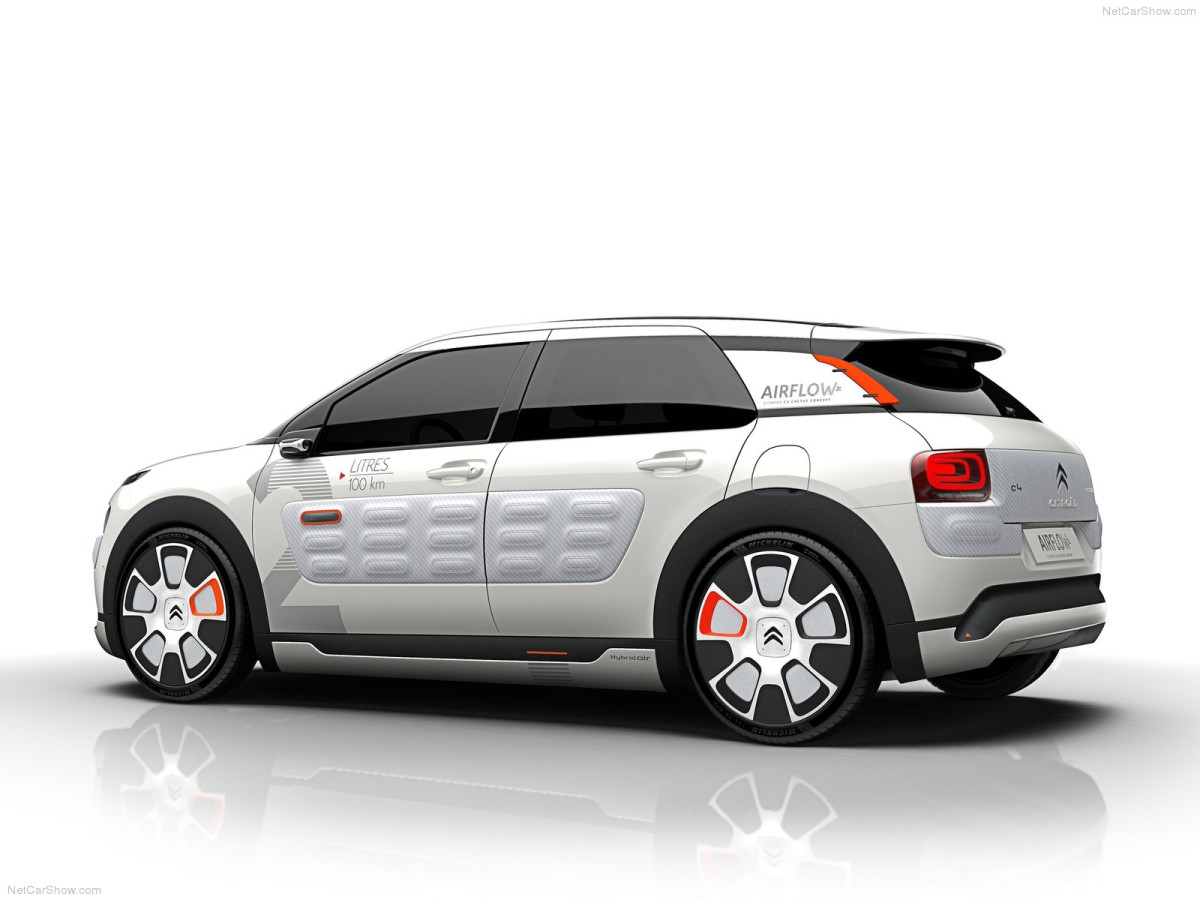 Citroen C4 Cactus Airflow 2L фото 134577