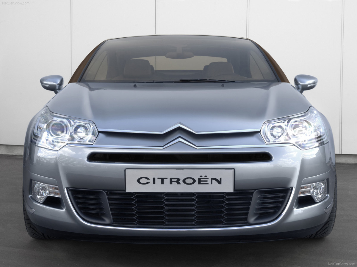 Citroen C5 Airscape фото 46946