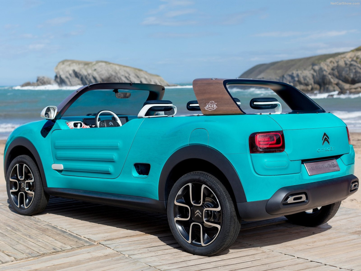 Citroen Cactus M Concept фото 156366