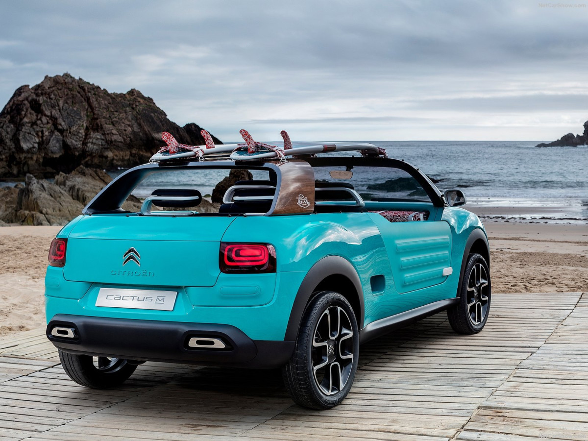 Citroen Cactus M Concept фото 156367