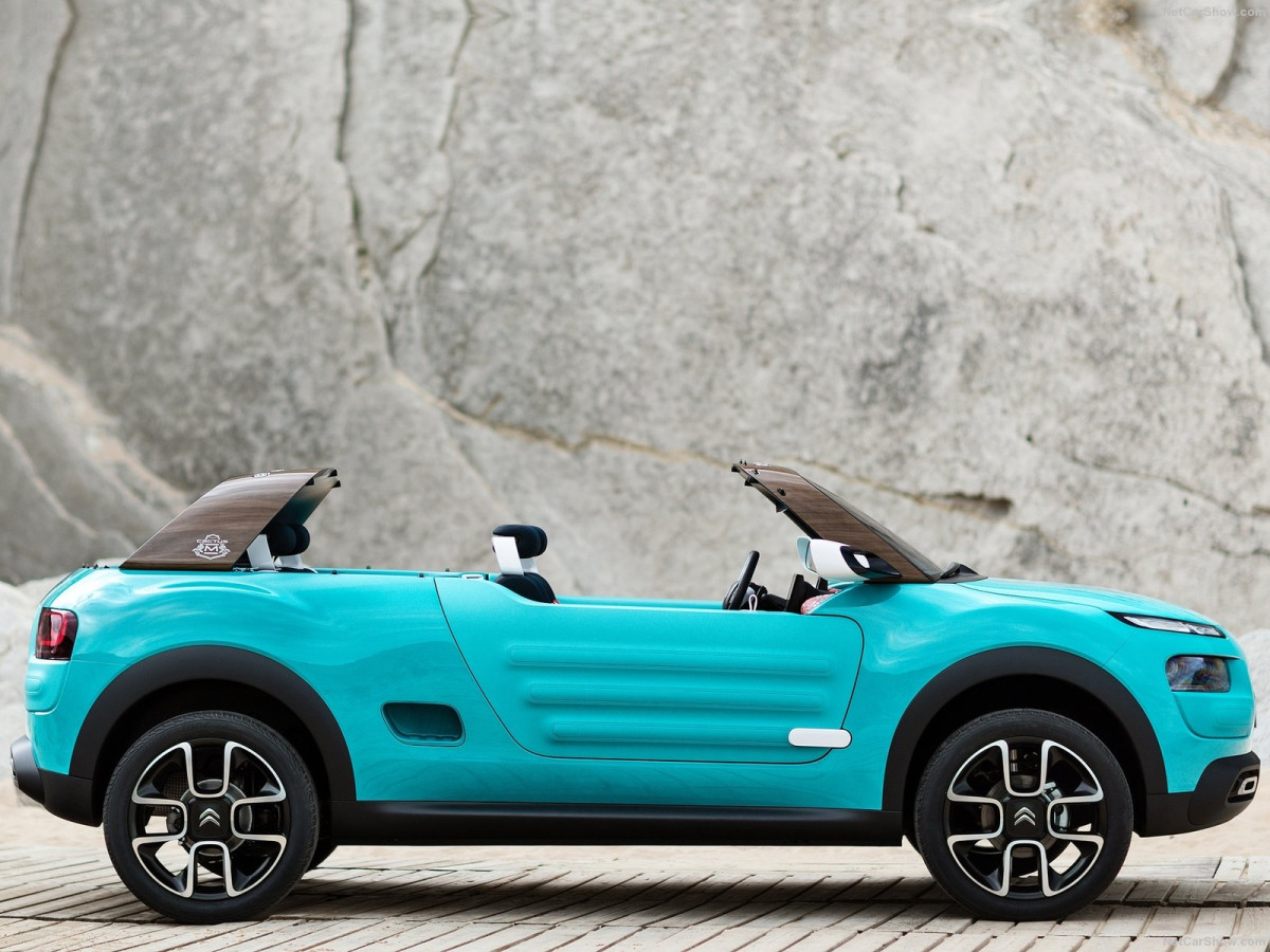 Citroen Cactus M Concept фото 156373