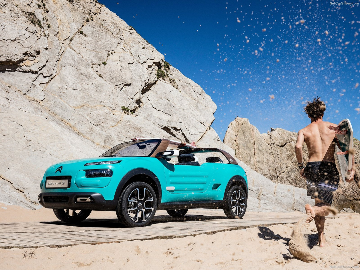 Citroen Cactus M Concept фото 156375