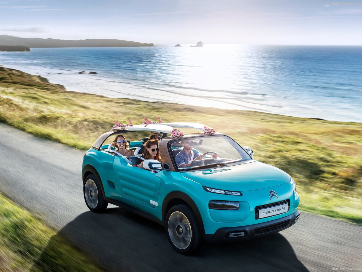 Citroen Cactus M Concept фото 156378