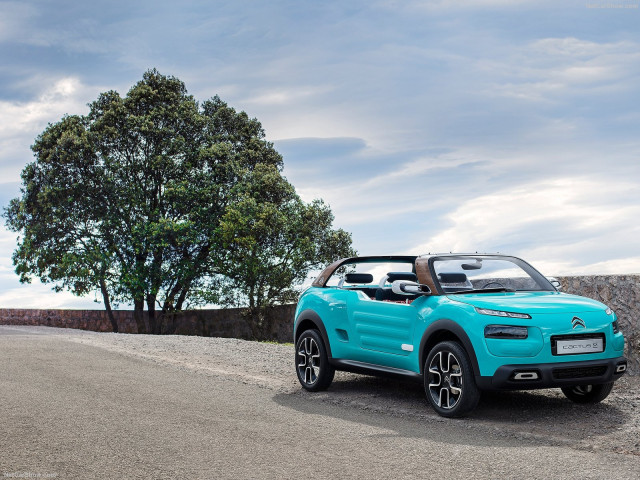 Citroen Cactus M Concept фото