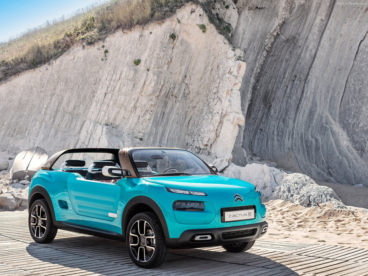 Citroen Cactus M Concept фото 156381