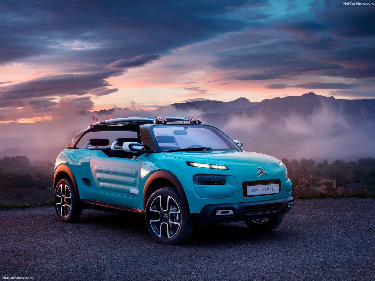 Citroen Cactus M Concept фото 156382