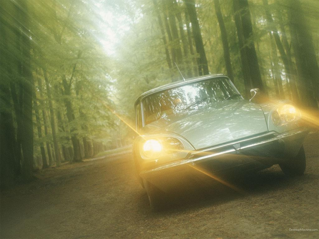 Citroen DS фото 31797