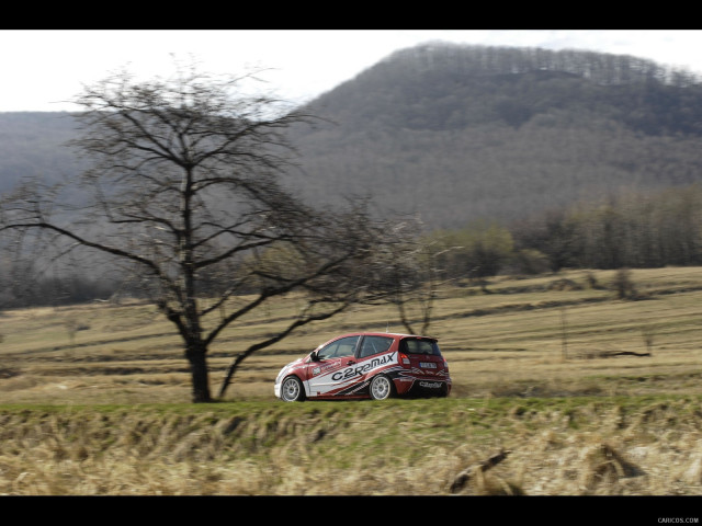 Citroen DS3 R3 фото