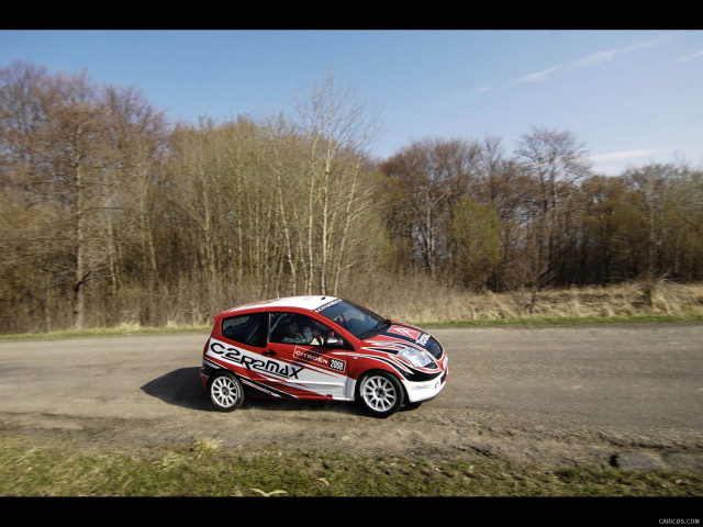 Citroen DS3 R3 фото