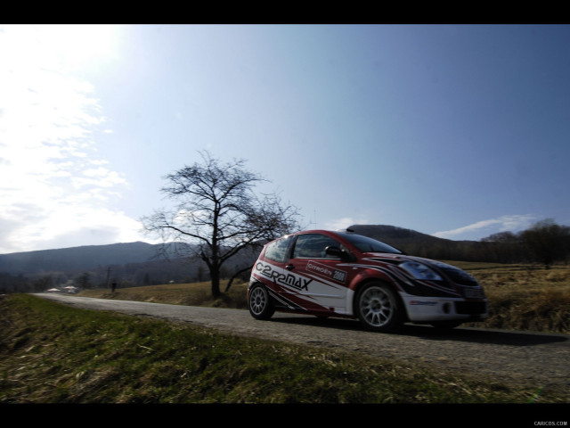 Citroen DS3 R3 фото