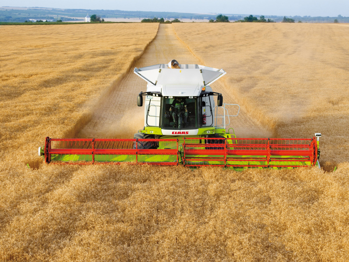 Claas Lexion фото 55122