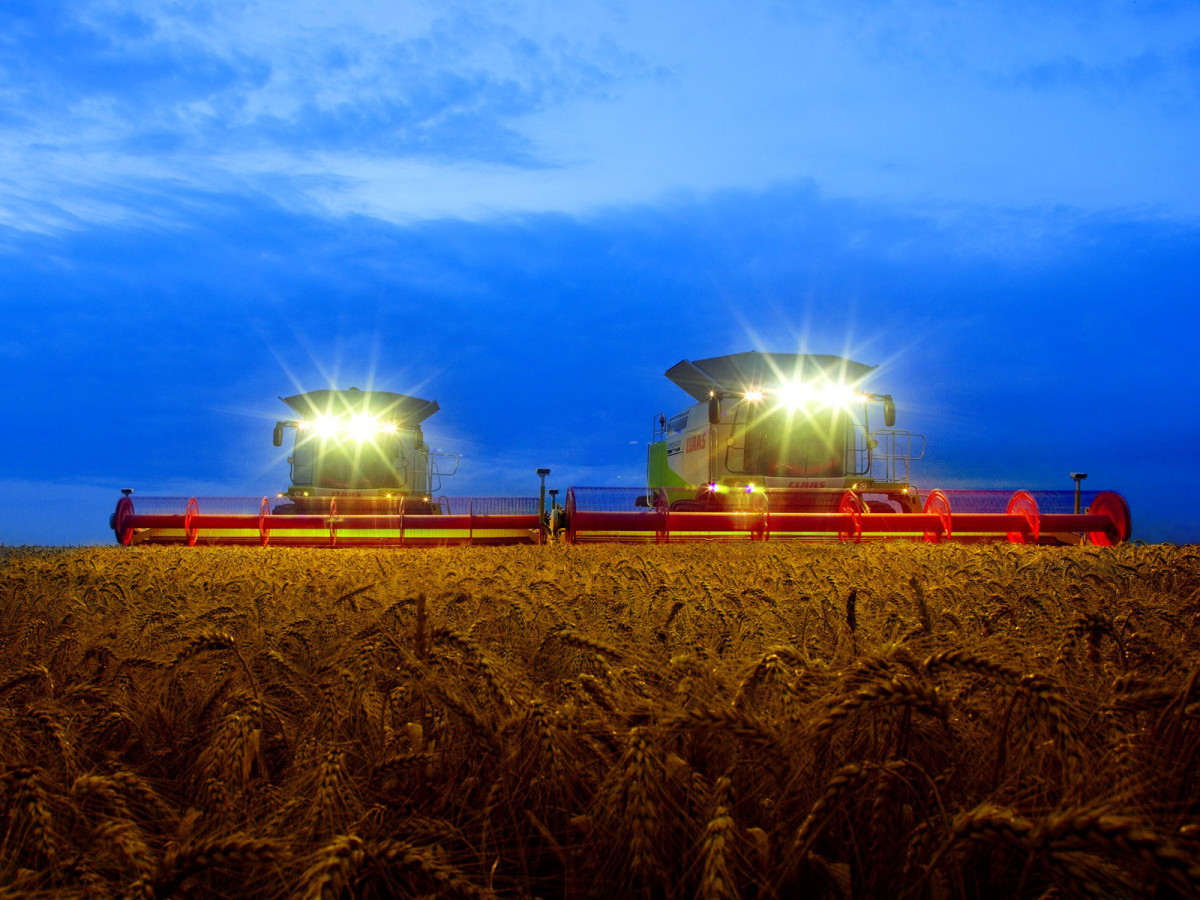 Claas Lexion фото 55123