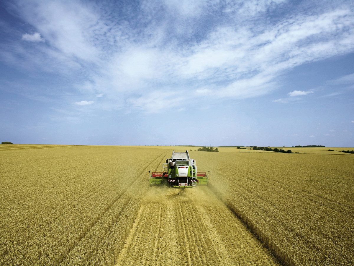 Claas Lexion фото 55128