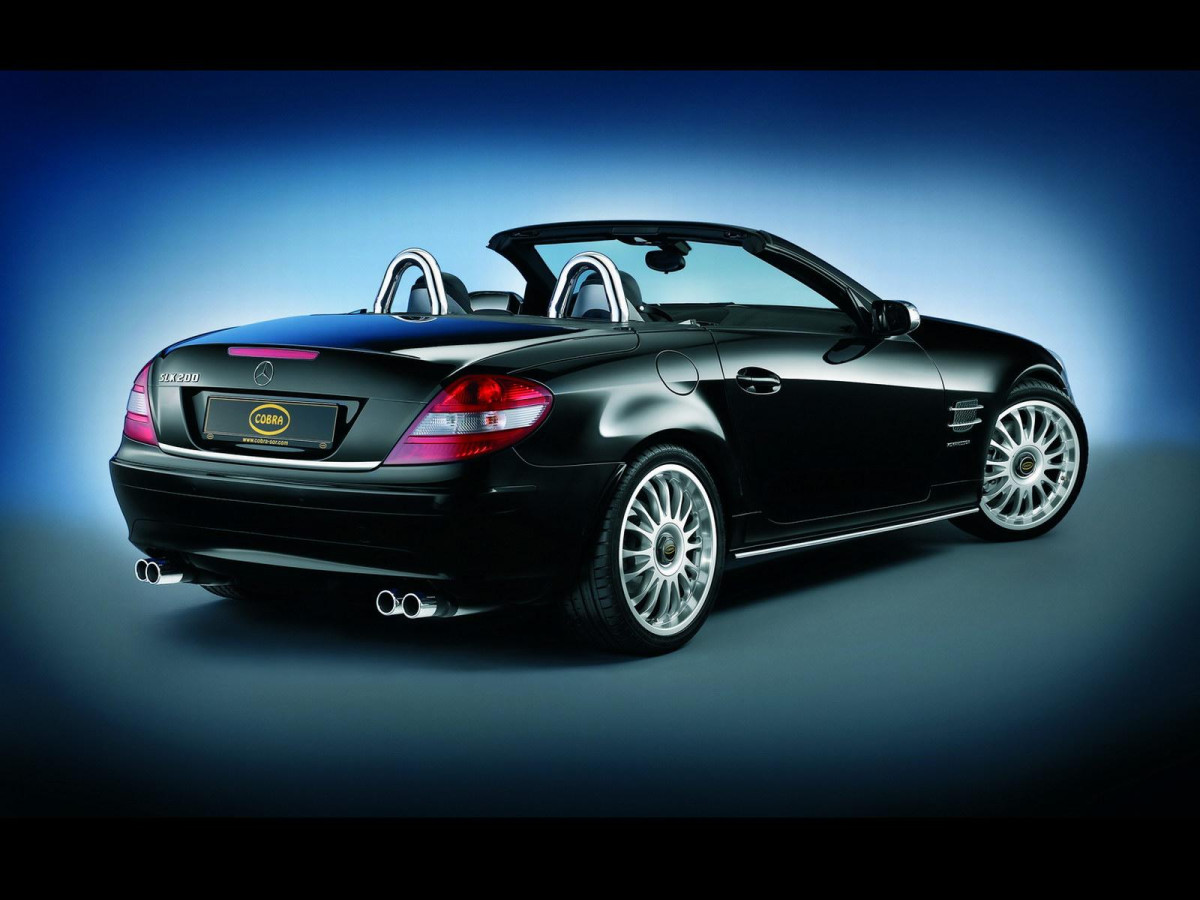 Cobra Mercedes-Benz SLK фото 26154