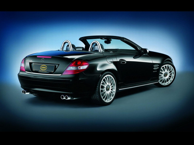 Cobra Mercedes-Benz SLK фото