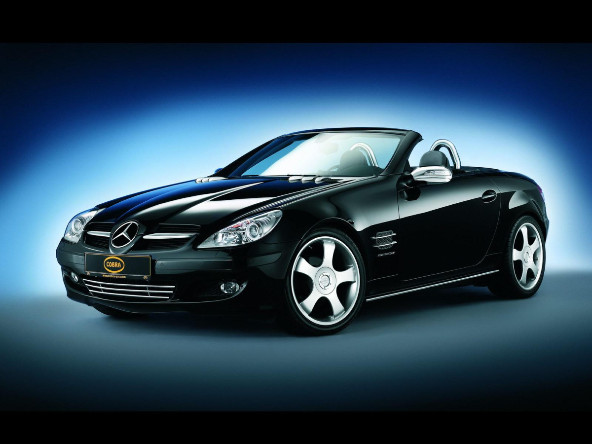 Cobra Mercedes-Benz SLK фото 26155