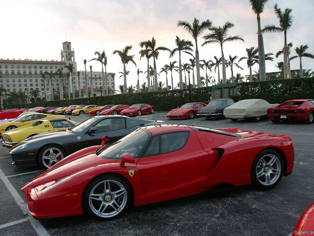 Ferrari Enzo фото 33298