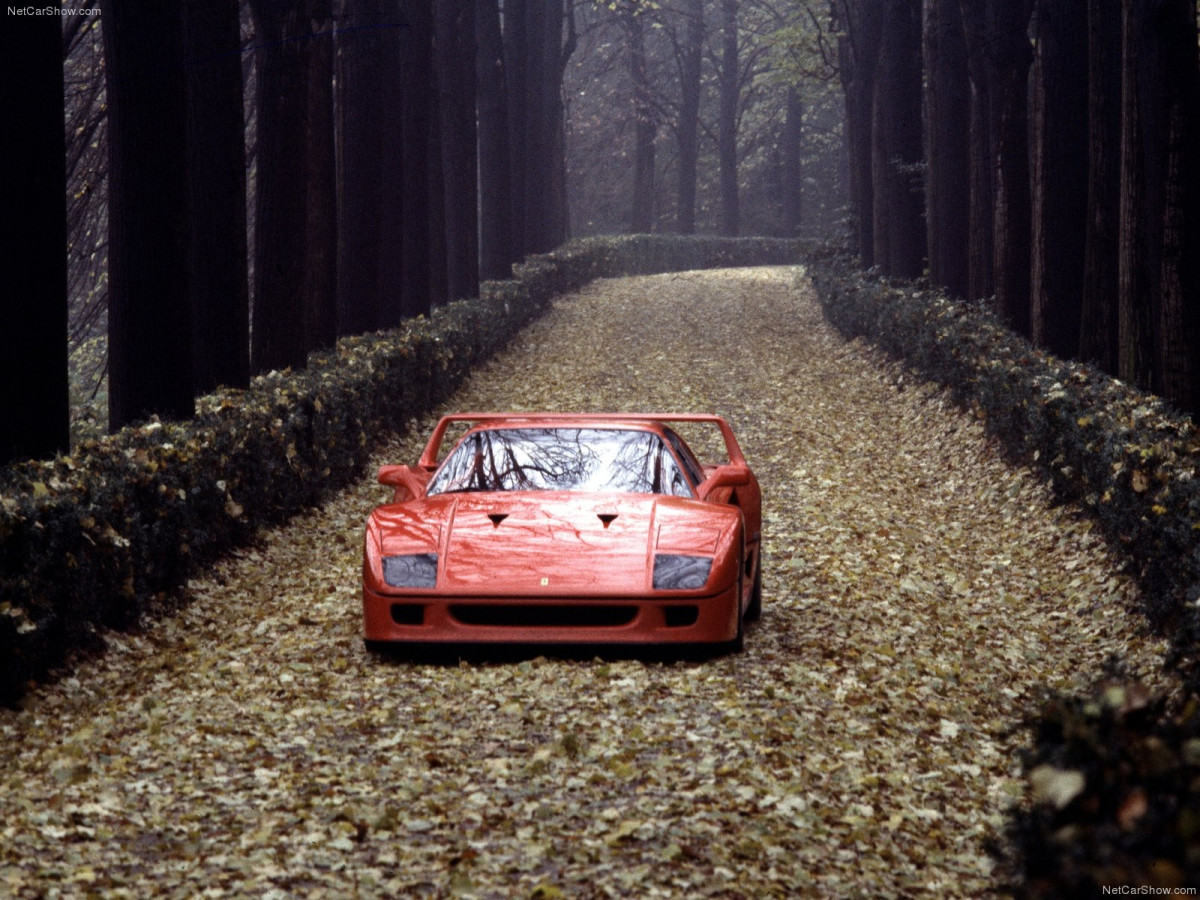 Ferrari F40 фото 76903