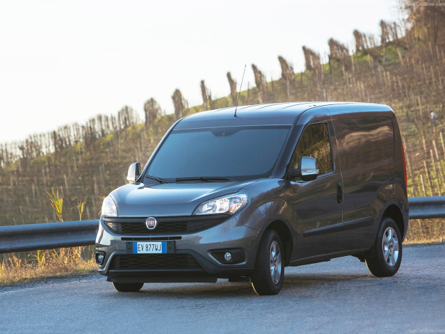 Fiat Doblo Cargo фото