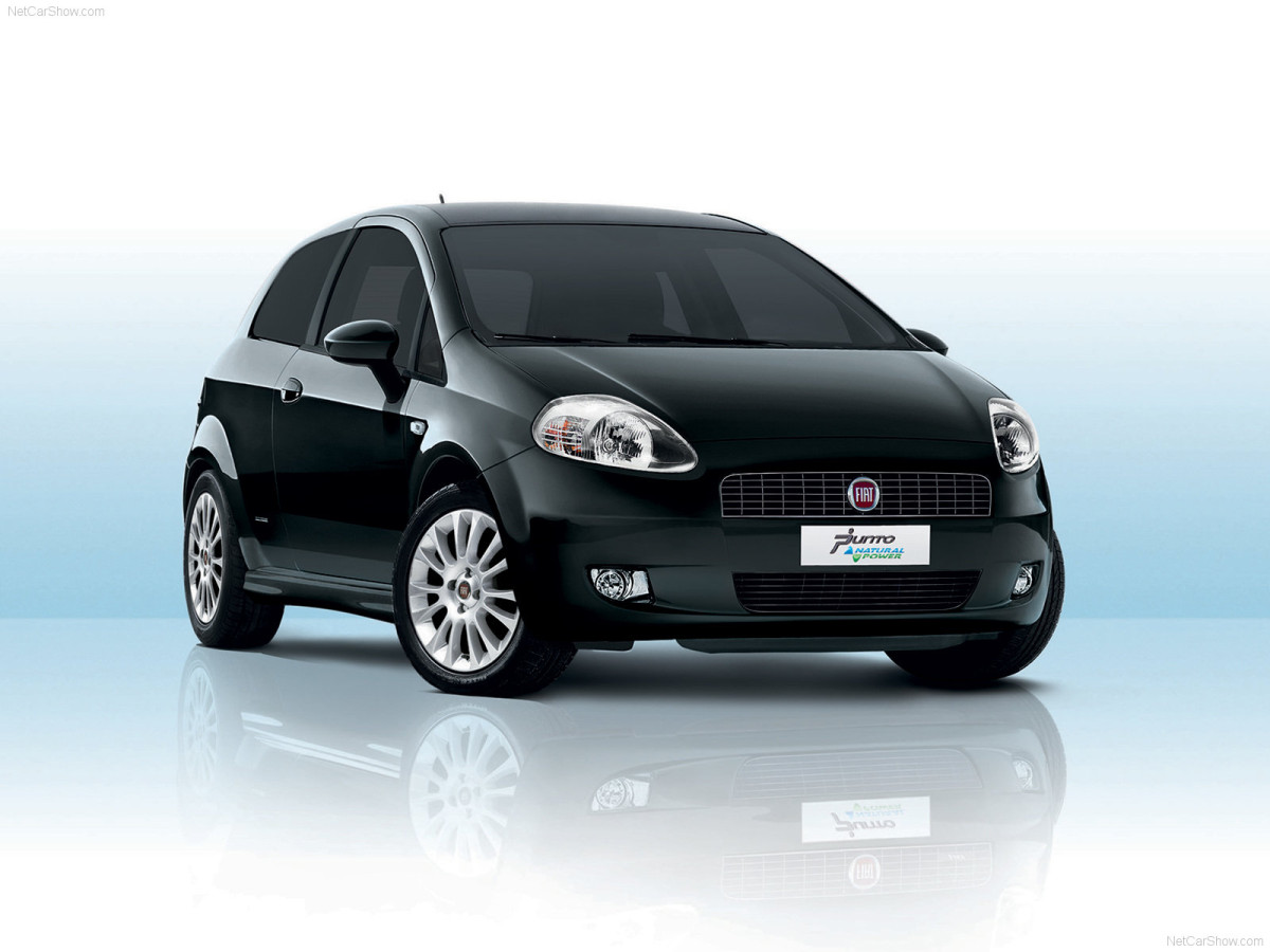 Fiat Grande Punto Natural Power фото 59714