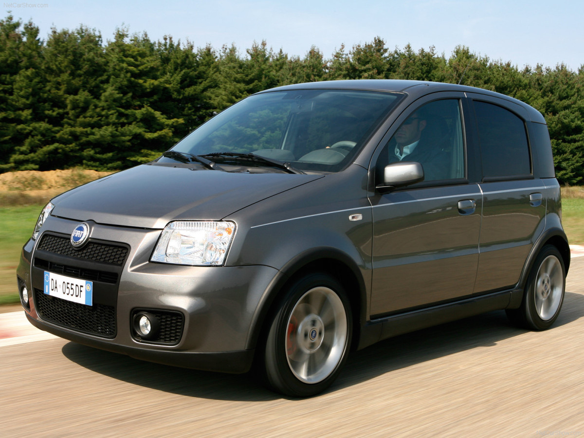 Fiat Panda 100HP фото 42612