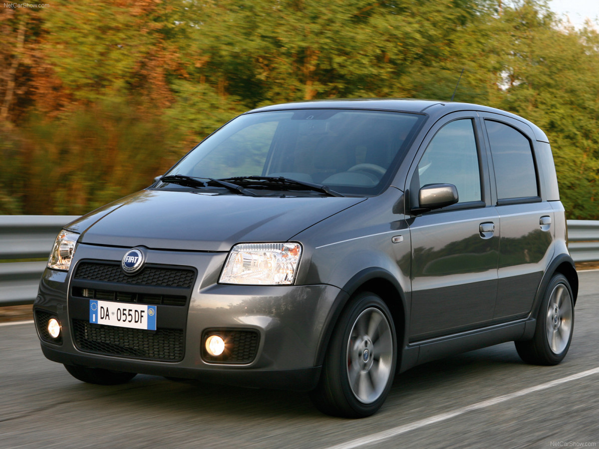 Fiat Panda 100HP фото 42614