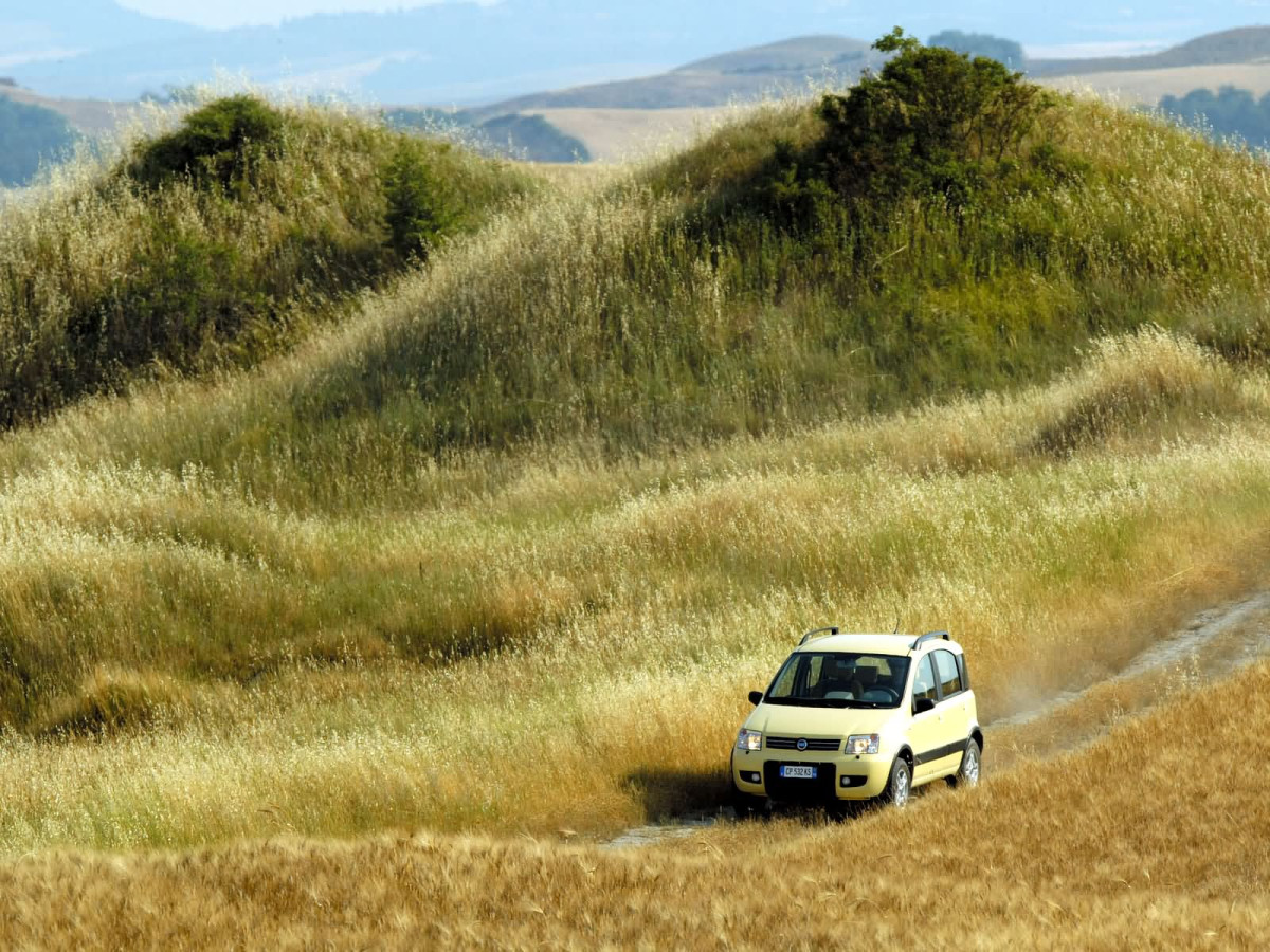 Fiat Panda 4x4 фото 13705