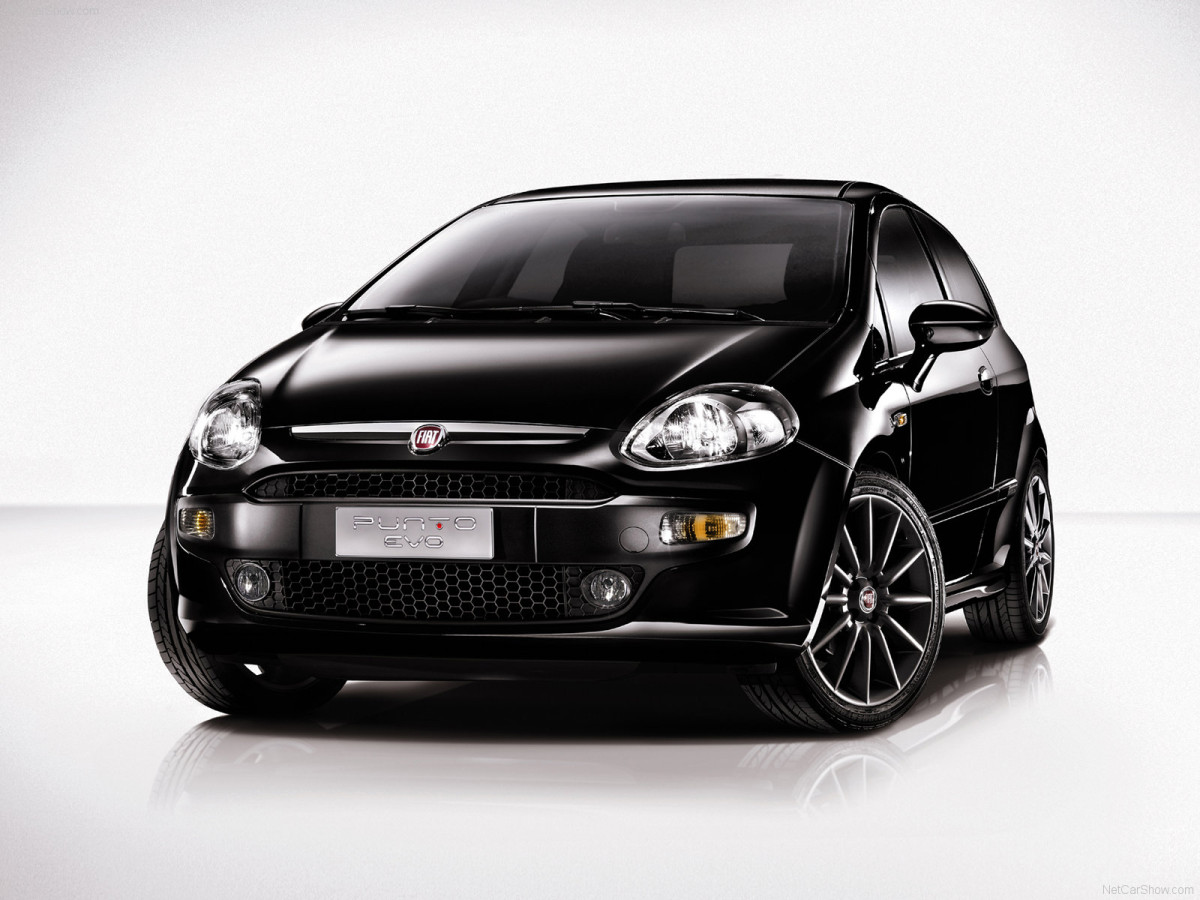 Fiat Punto Evo фото 69265